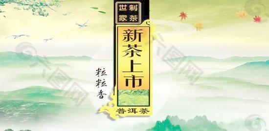 普洱茶新茶上市海报PSD分层