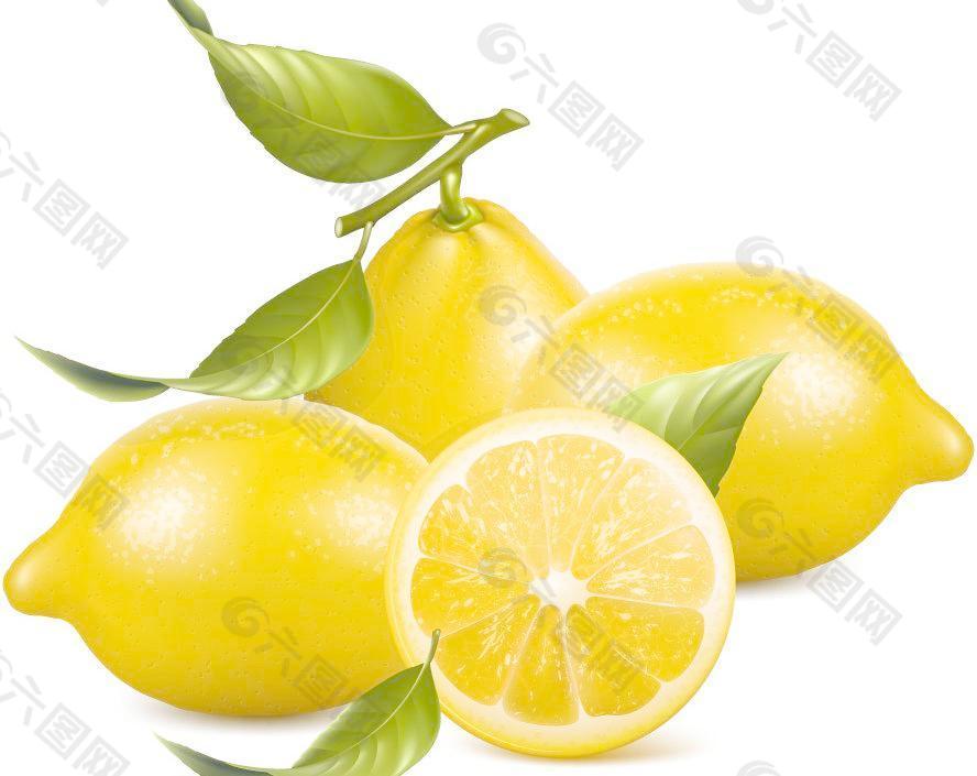 手绘柠檬图片