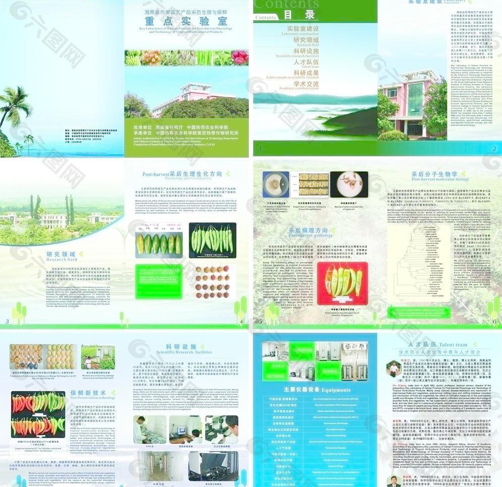 海南热带园艺产品图片