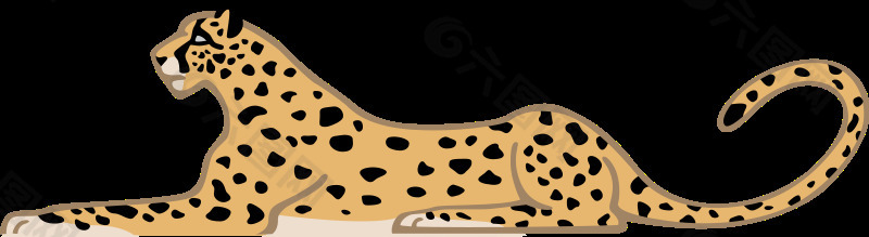 guepard