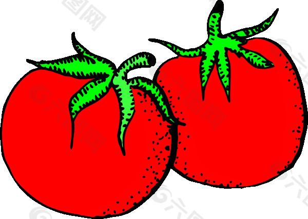 西红柿的剪辑艺术