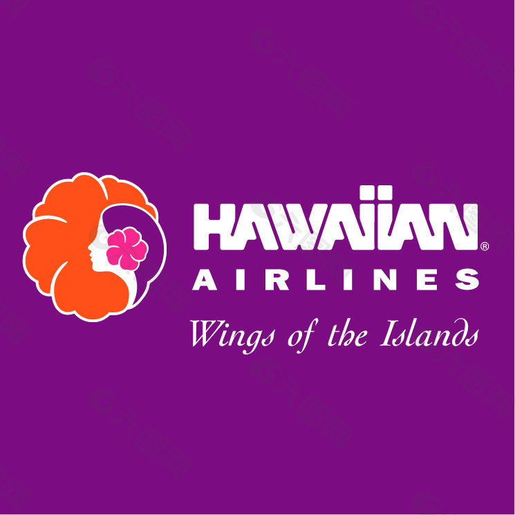 夏威夷航空公司2