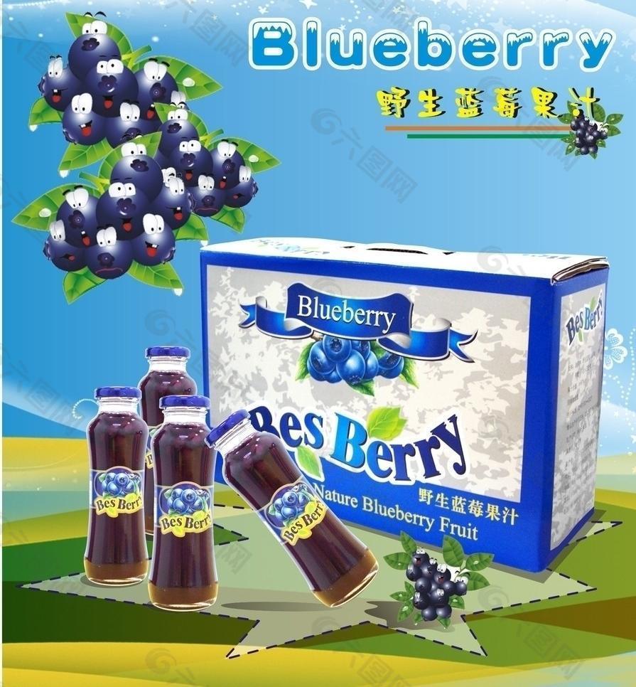野生蓝莓果汁宣传海报图片