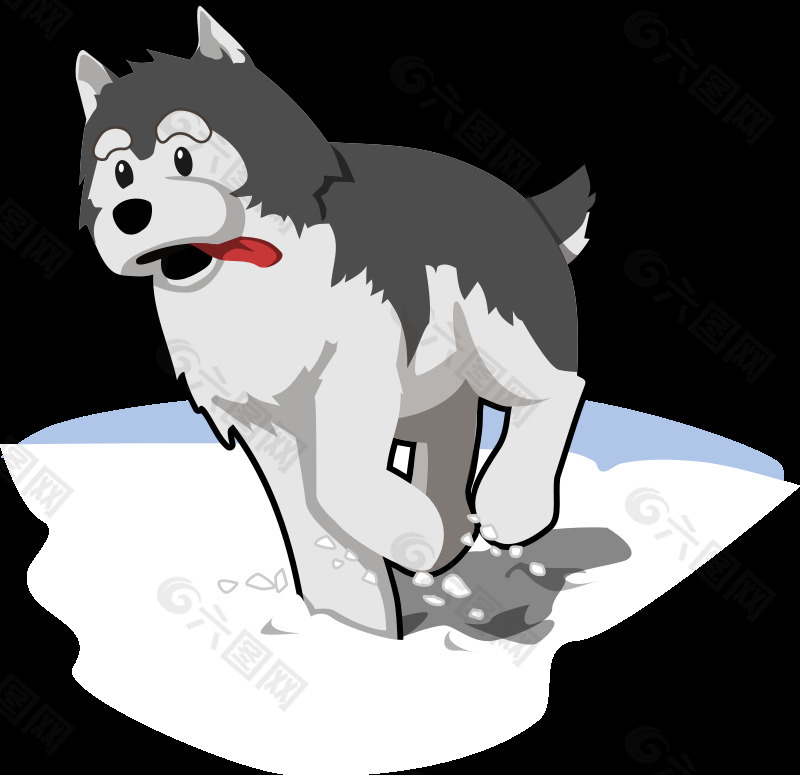 在雪中沙哑的运行