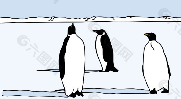 企鹅的剪辑艺术