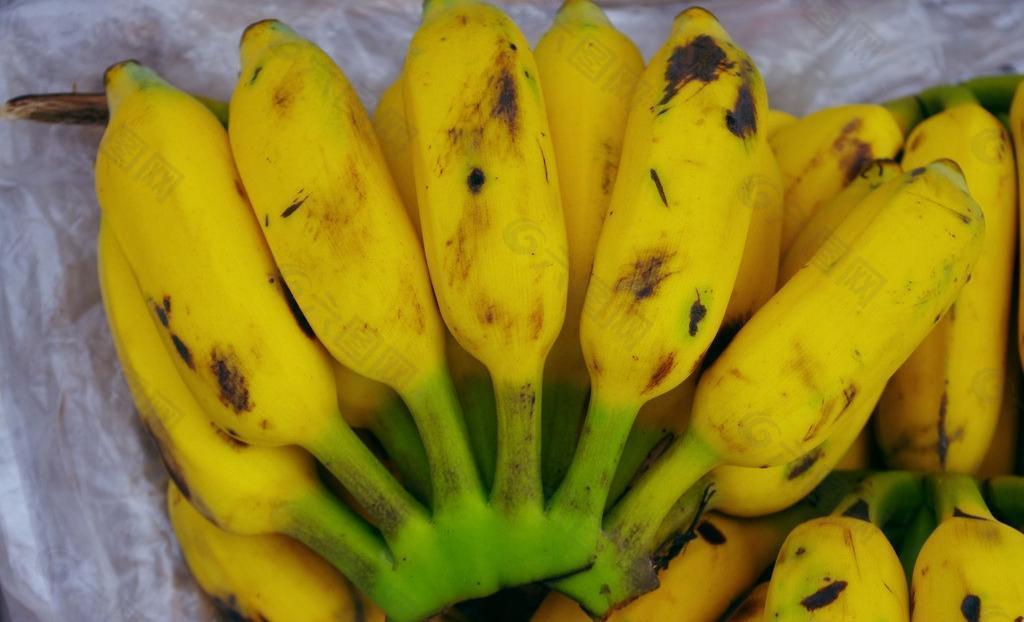 水果 香蕉图片