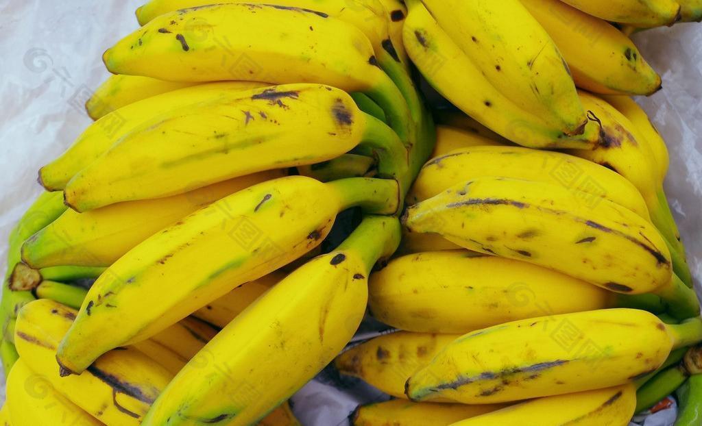 水果 香蕉图片