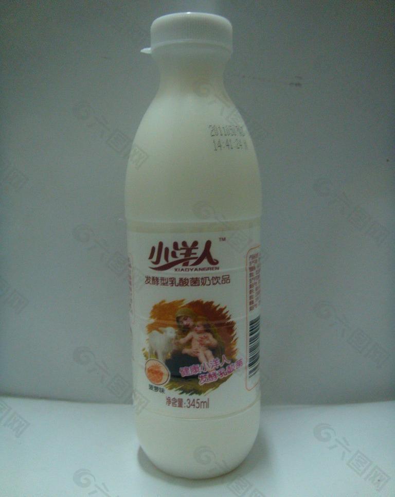 小洋人乳酸菌图片