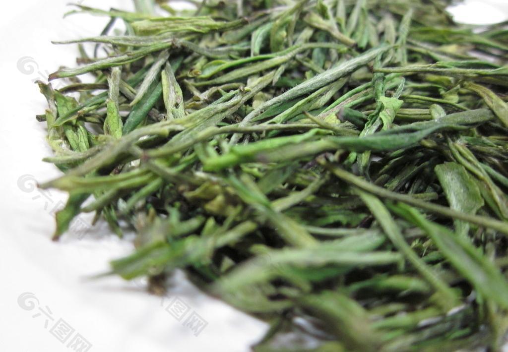 安吉白茶毛峰图片