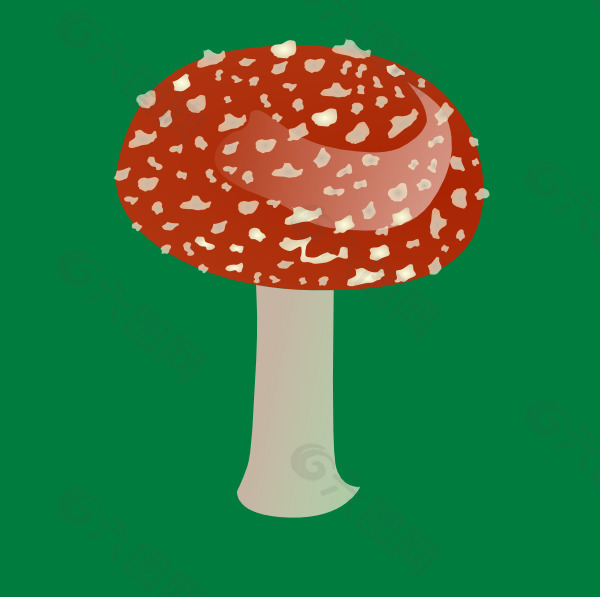 鹅膏毒蘑菇的剪辑艺术