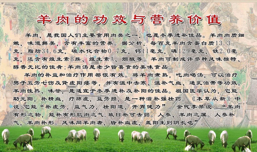 羊肉的功效及营养价值海报设计