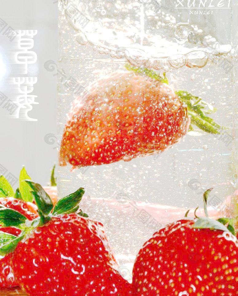 草莓 冬日草莓图片
