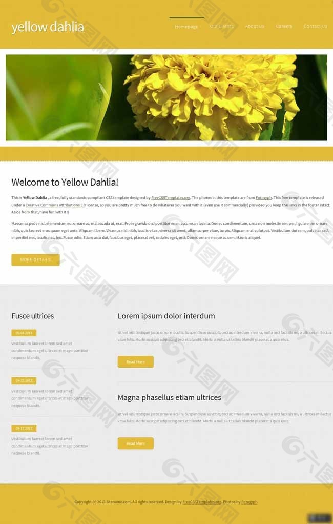 黄色大丽花信息网页模板