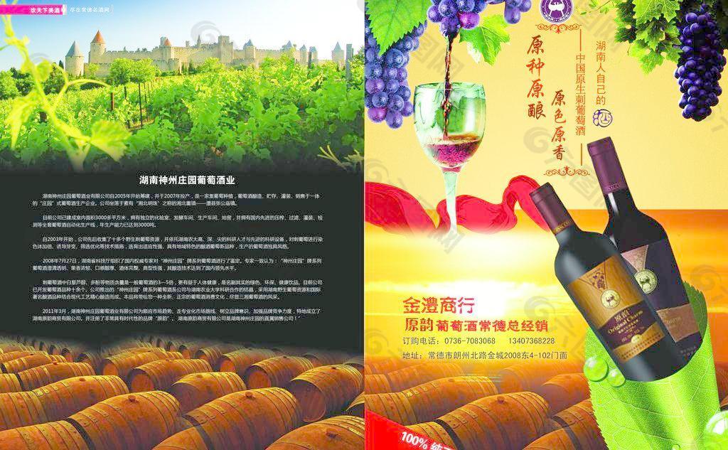 葡萄酒文化宣传单图片