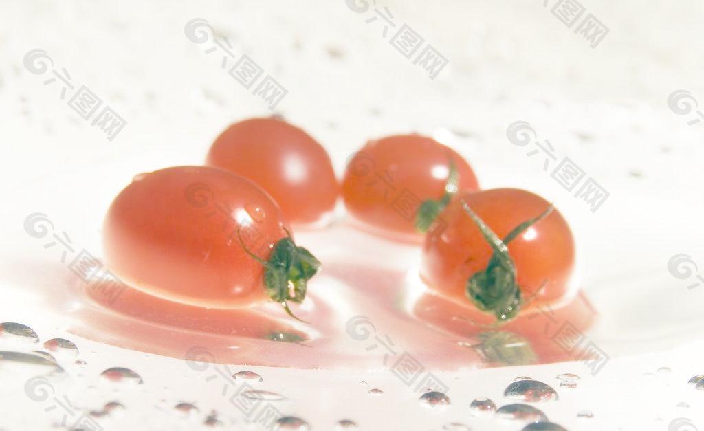 晶莹小西红柿图片