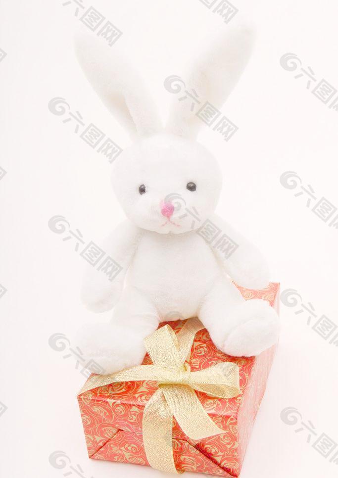 毛绒玩具兔子 礼物盒 节日图片