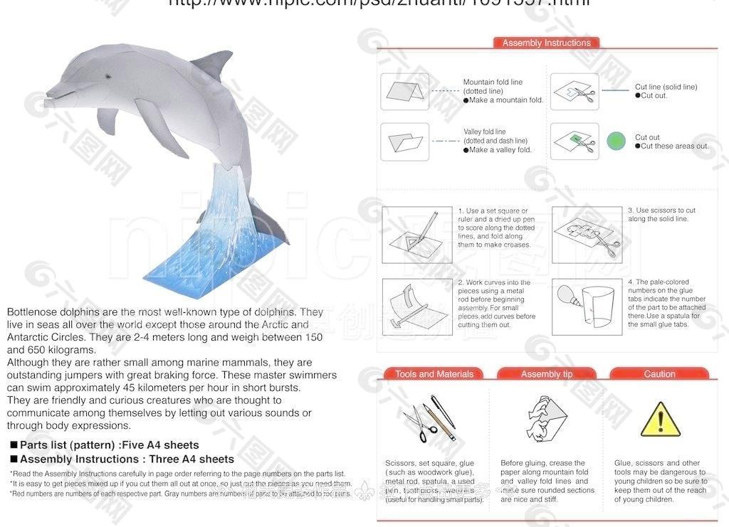 海豚纸模图片
