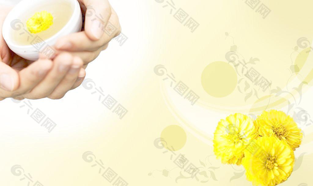 菊花背景图图片