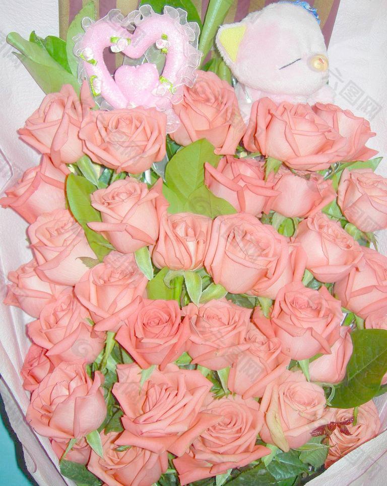 甜蜜 粉玫瑰图片