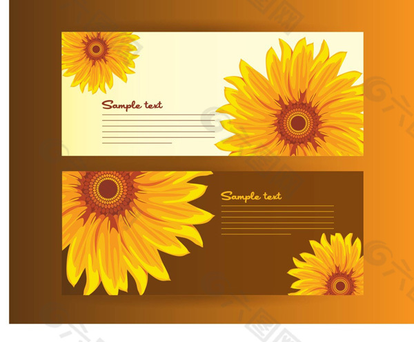 美丽的太阳花卡片