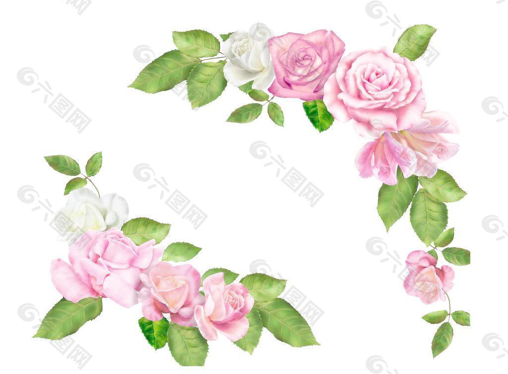 粉玫瑰分层图片
