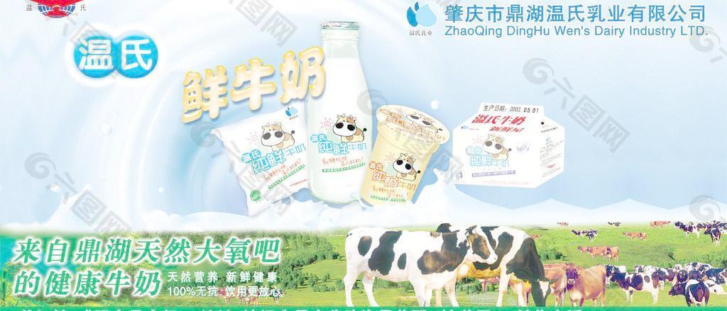 温氏牛奶广告图片