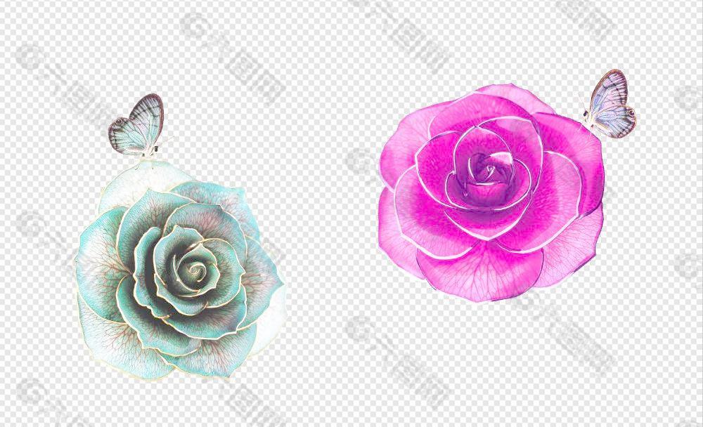 玫瑰花 标本 镶边 真玫瑰 饰品图片