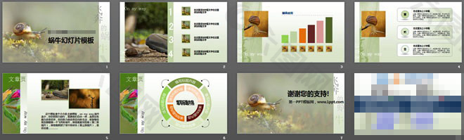 蜗牛PPT背景图片