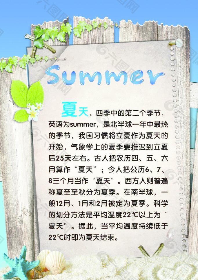 夏天美图片