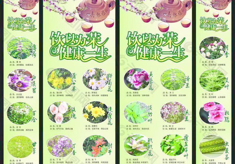 药店草药展板图片