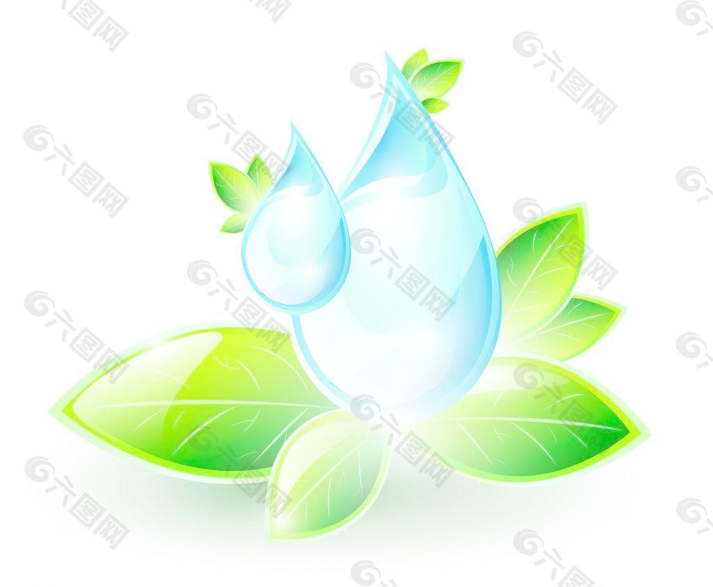绿叶 水珠 水滴图片
