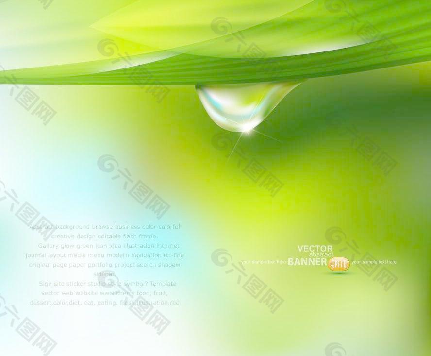 动感绿叶水珠水滴图片