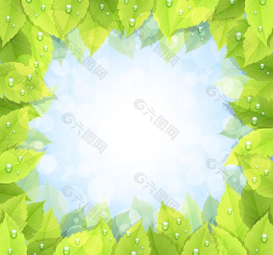 绿叶水珠水滴边框图片