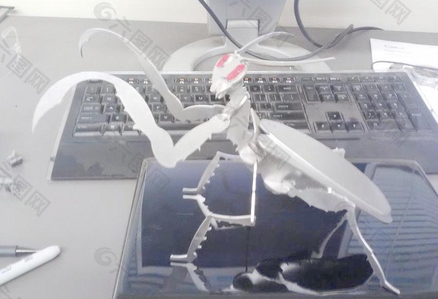 祈祷螳螂虫木工艺难题的虫子3D模型metalcraftdesign拼图板