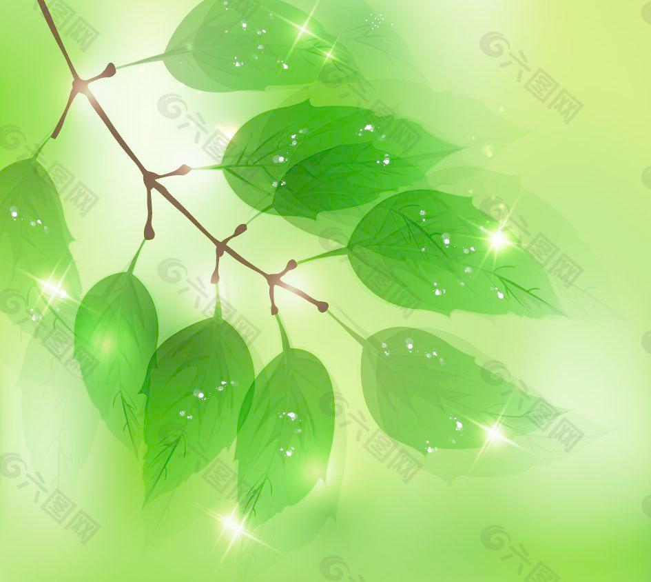绿叶水珠水滴星光背景图片
