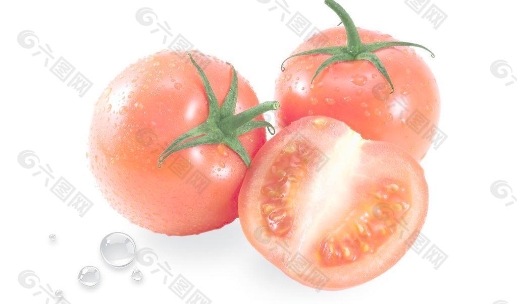番茄组合 西红柿图片
