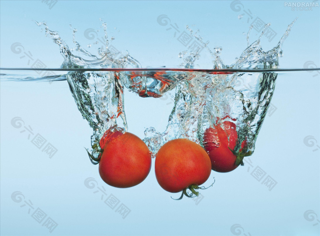 番茄背景图