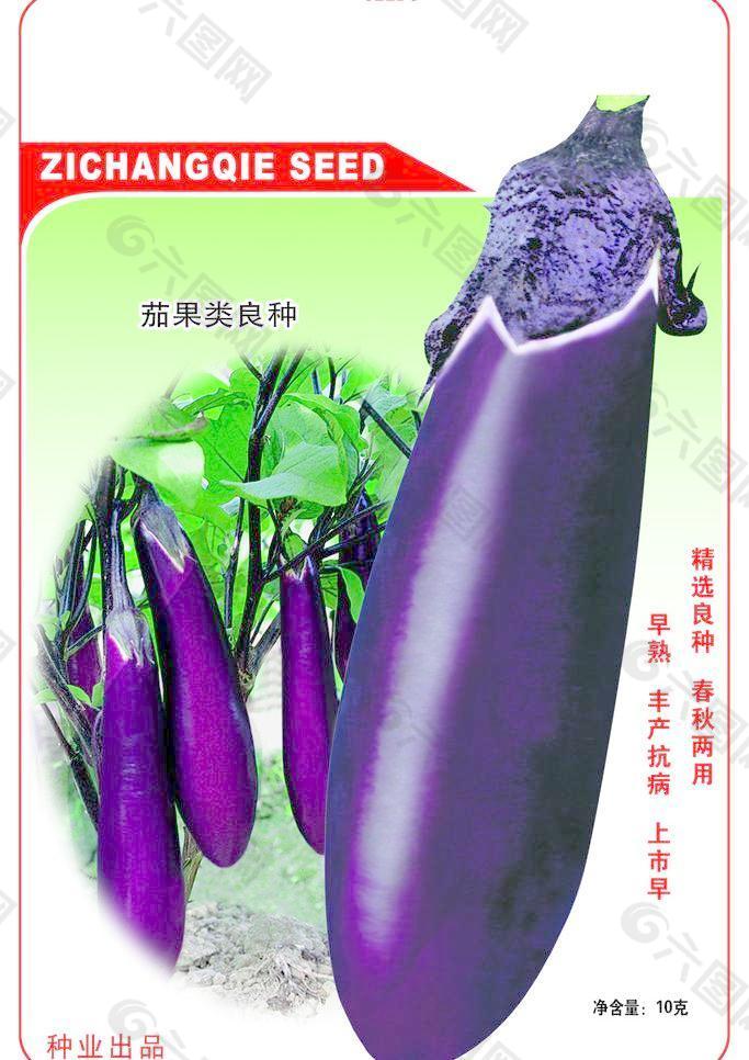 菜种包装设计图片
