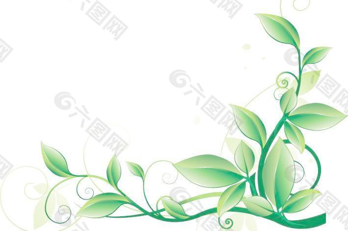 绿叶 水珠图片