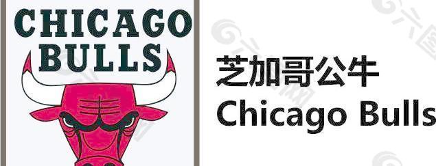 芝加哥公牛 chicago bulls图片