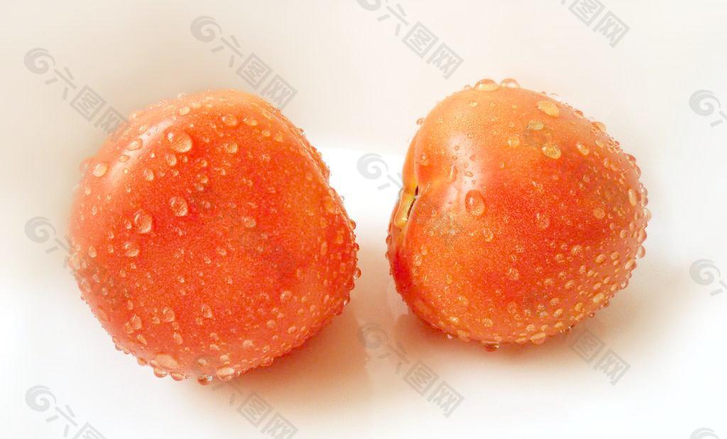 沾满水露的西红柿图片