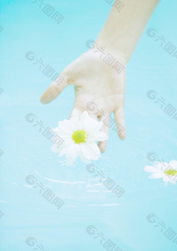 水中手托鲜花图片