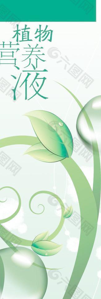 带水珠的绿色植物枝叶宣传画面图片
