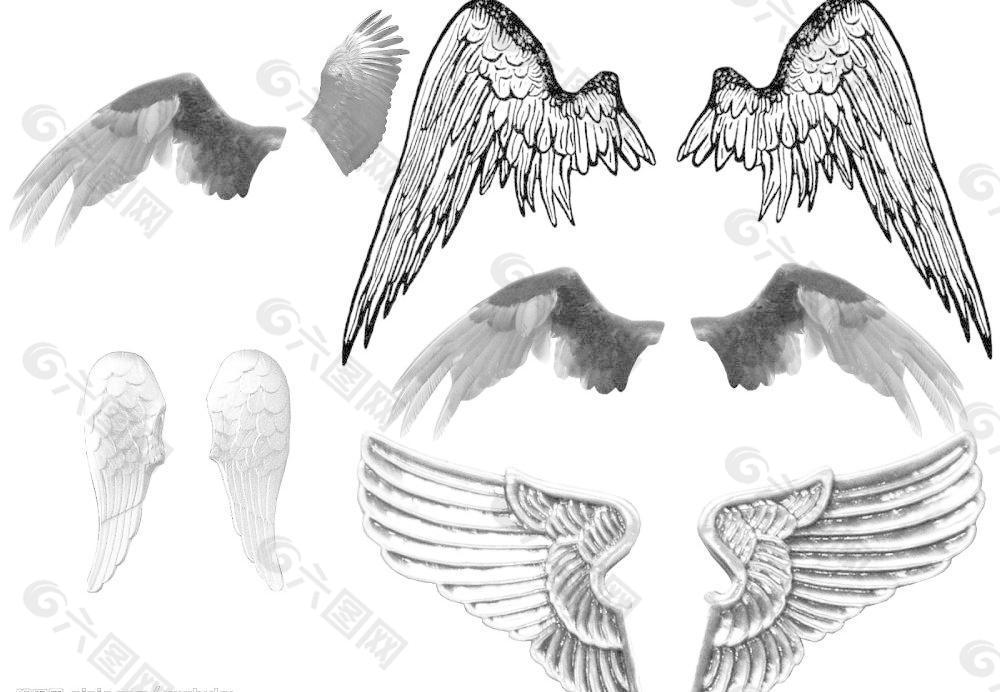 天使翅膀集合图片