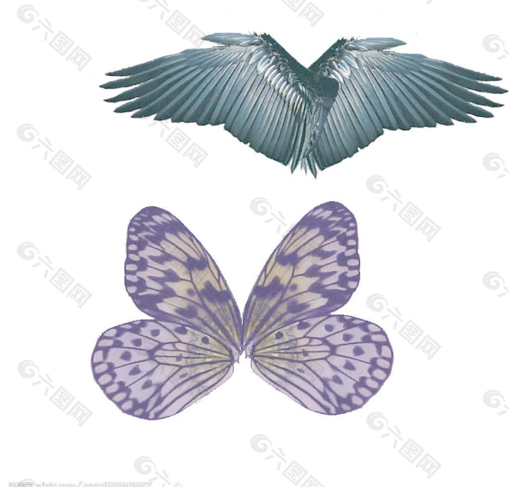 翅膀设计分层图片