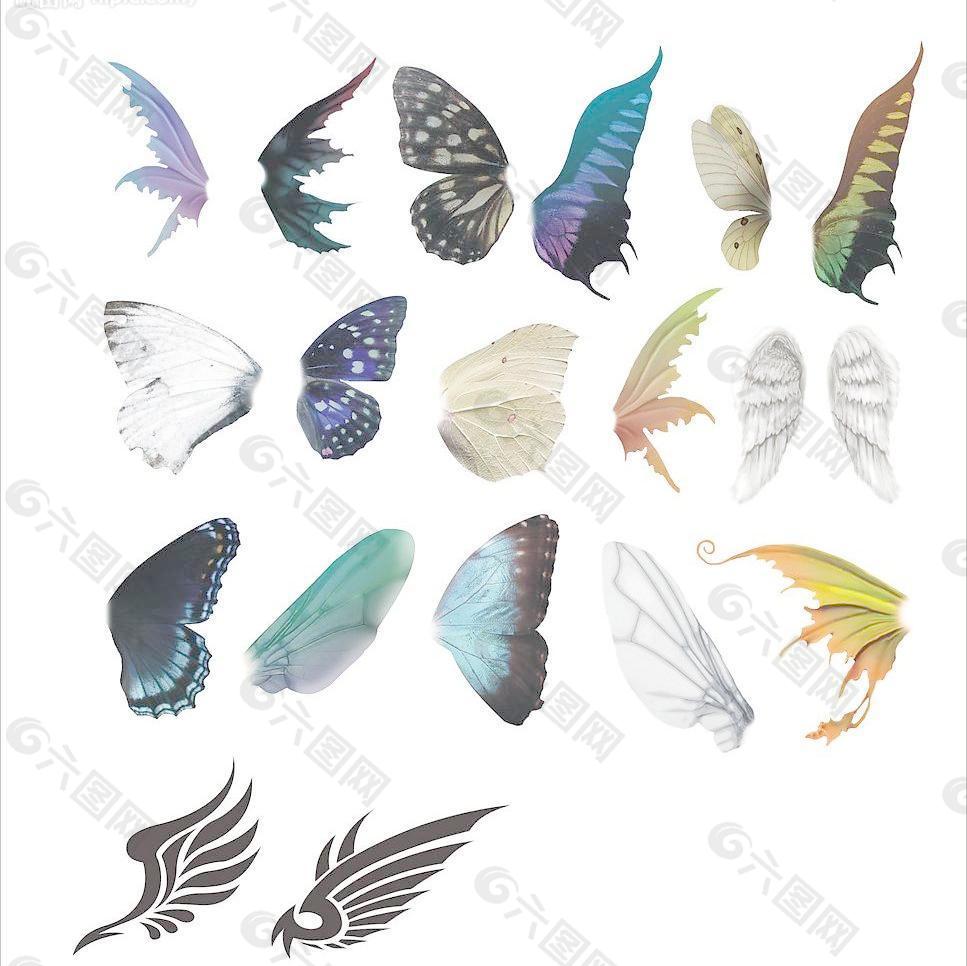 多款不同的翅膀图片