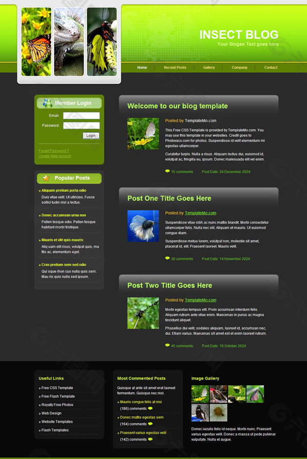 昆虫博客网页模板 CSS