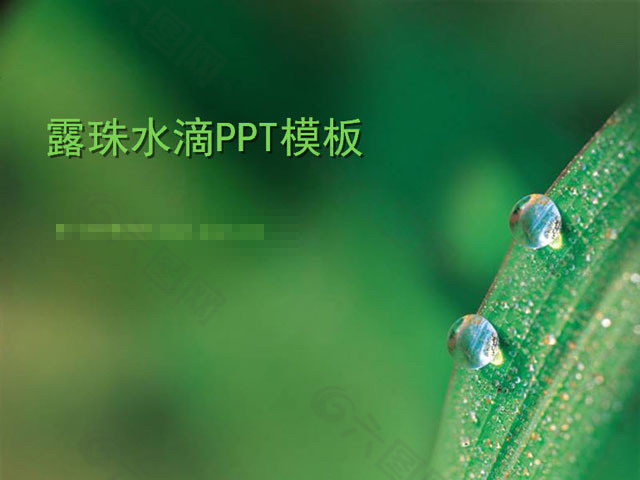 露珠PPT背景图片