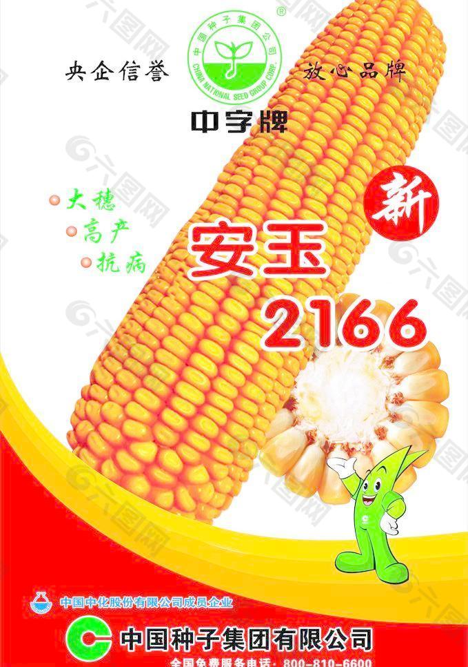 606玉米品种介绍图片图片