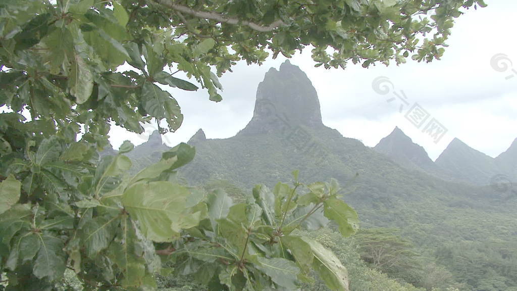 波拉波拉山rotui股票视频